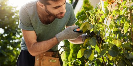 jardinage aide à domicile
